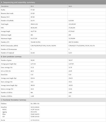 Genome of Raphanus sativus L. Bakdal, an elite line of large cultivated Korean radish